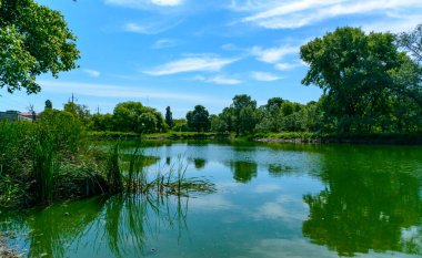 Açık mavi gökyüzü ile güneşli bir günde, kıyıdaki ağaçları yansıtan yeşil göl, Odessa