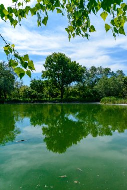 Açık mavi gökyüzü ile güneşli bir günde, kıyıdaki ağaçları yansıtan yeşil göl, Odessa