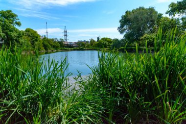 Bereketli yeşil çimenler ve ağaçlarla çevrili sakin bir gölet. Arka planda mavi gökyüzü ve beyaz bulutlar.