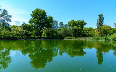 Açık mavi gökyüzü ile güneşli bir günde, kıyıdaki ağaçları yansıtan yeşil göl, Odessa