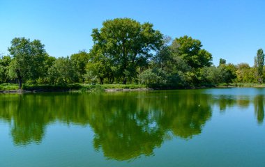 Açık mavi gökyüzü ile güneşli bir günde, kıyıdaki ağaçları yansıtan yeşil göl, Odessa