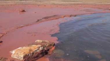Planktonik kabuklu pembe yumurtalar Artemia salinası Ukrayna 'nın başkenti Kuyalnik' in hipersalin kıyılarında kıyıya vurdu.
