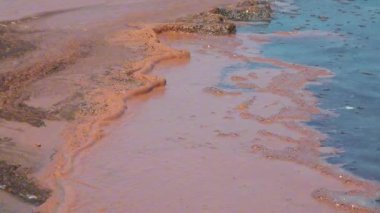 Planktonik kabuklu pembe yumurtalar Artemia salinası Ukrayna 'nın başkenti Kuyalnik' in hipersalin kıyılarında kıyıya vurdu.