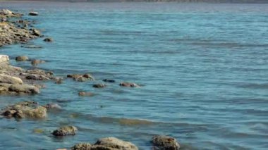 Odessa yakınlarındaki tuzlu haliç Kuyalnik kıyısındaki sularda sakin dalgalar, Ukrayna kıyılarındaki Artemia yumurtaları