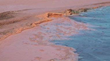 Artemia salina yumurtaları Ukrayna 'nın Kuyalnik kentindeki hipertuzlu haliçlerde yüzüyor.