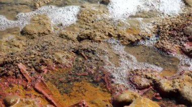 Odessa yakınlarındaki tuzlu Kuyalnik nehrinde beyaz köpük, kıyıda Artemia yumurtaları, Ukrayna