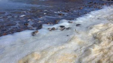 Karadeniz kıyısı - su kirliliği ve ötrofikasyon, Ukrayna 'nın Odessa sahilinde bir fırtına sırasında kıyıya vuran sarı köpük.