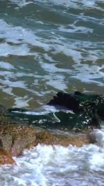Karadeniz 'de fırtına, beyaz köpüklü büyük dalgalar Odessa şehrinde kıyı koruma yapıları ile kıyıya vuruyor.