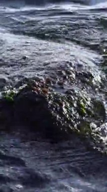 Karadeniz kıyısındaki su kıyısında midye ve yosunların büyüdüğü bir kayanın üzerinde dalgalar.