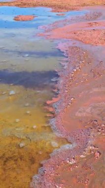 Planktonik kabuklu pembe yumurtalar Artemia salinası Ukrayna 'nın başkenti Kuyalnik' in hipersalin kıyılarında kıyıya vurdu.