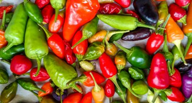 Different colored ripe fruits of different varieties of hot pepper grown in Ukraine clipart