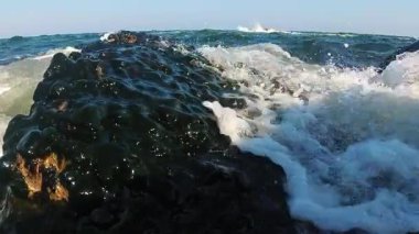 Kaynayan köpüklü dalgalar ve kıyıya yakın kıyı kayaları, deniz yosunlarıyla kaplı ve kamerayı dolduran Odessa