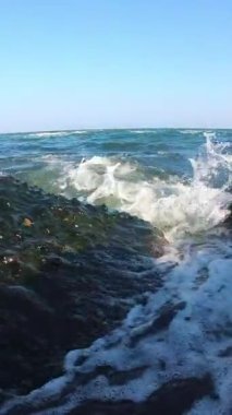 Karadeniz 'de fırtına, su midye ve alglerle kaplı kayaların üzerine dökülüyor.