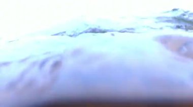 Kışın Karadeniz kıyısındaki kayalıklarda sallanan lifli kahverengi ve kızıl algler Odessa