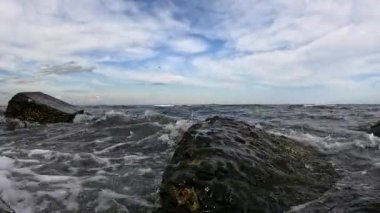 Küçük bir fırtına sırasında, dalgalar midye ve alglerle kaplı taşları yıkar, Karadeniz