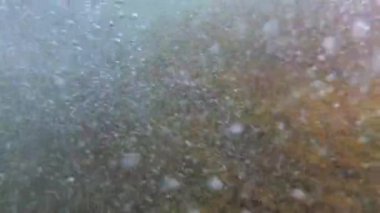 Fırtına sırasında kıyıya yakın dalgalar, suda hava kabarcıkları, oksijen ile su doygunluğu, Karadeniz