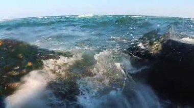 Karadeniz kıyısındaki kırmızı ve yeşil alglerle kaplı kayalar fırtına sırasında dalgalarla yıkanır, Odessa.