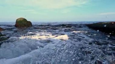 Su Karadeniz 'e hızla akıyor, köpüklü su yeşil alglerle kaplı taşları yıkıyor, yavaş çekim videosu var..