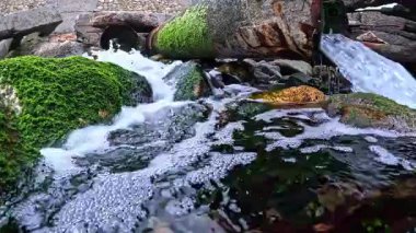Tatlı kaynak suyu, eski paslı bir borudan Karadeniz 'e, Odessa' ya güçlü bir akarsu olarak akar.