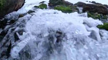 Temiz kaynak suyu yeşil alg Enteromorpha sp 'nin üzerinden akar. Karadeniz 'deki taşlar, Odessa