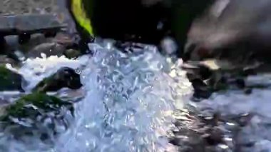 Köpüklü ve hava kabarcıklı bir tatlı su akıntısı denize akar, taşları Enteromorpha algleriyle yıkar, denizi tuzdan arındırır, toprak suyu