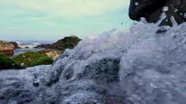 Karadeniz 'de köpüklü ve hava kabarcıklı hızlı tatlı su akışı, yeşil ve kırmızı alglerle taşları yıkama