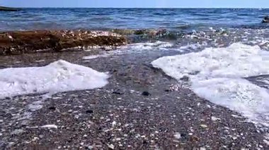 Karadeniz Ekolojisi, Odessa 'da kumlu bir sahilde dalgalar tarafından kıyıya atılan kirli köpük.