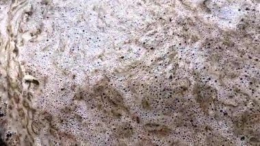 Karadeniz Ekolojisi, Odessa kıyısı yakınlarında suyun yüzeyinde kirli köpük