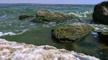 Yazın Khadzhibey 'de tek hücreli mavi-yeşil yosunların çiçek açması.