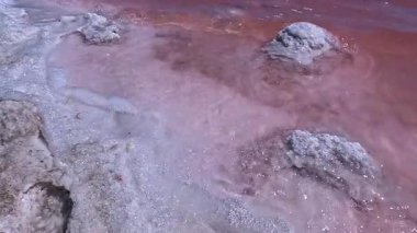 Kuialnyk Estuary, Pembe Su - alg çiçeği ve tuzlu suda ciliyet, masa tuzu düştü