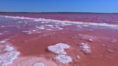 Kuialnyk Estuary, Pembe Su - alg çiçeği ve tuzlu suda ciliyet, masa tuzu düştü