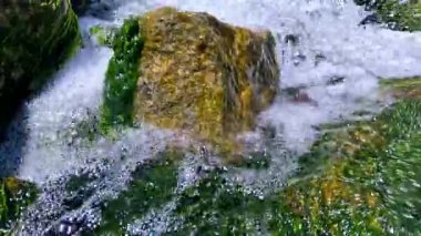 Yeşil alg Enteromorpha ile kaplı kayaların üzerinden hızlı akan temiz su akıntısı.