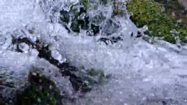 Yeşil alg Enteromorpha ile kaplı kayaların üzerinden hızlı akan temiz su akıntısı.