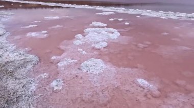 Kuialnyk Estuary, tuzlu sodyum klorür kurumuş bir haliçin dibinde kristalize olmuş.