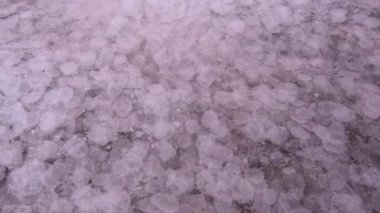 Kuialnyk Estuary, tuzlu sodyum klorür kurumuş bir haliçin dibinde kristalize olmuş.