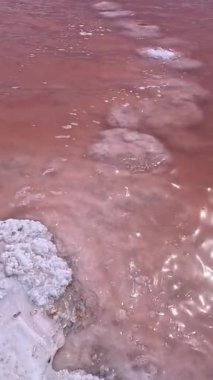 Kuyalnik Estuary, yaz mevsiminde kuruyan haliçlerin dibindeki ve kıyısındaki kendi kendine kuruyan masa tuzu.