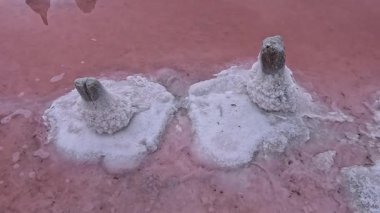 Kuyalnik Estuary, masa tuzu eski ahşap yığınları ve kurumuş haliçlerin dibinde kristalize edilmiş.