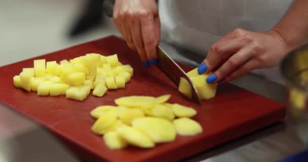 Corte Profesional Papas Crudas Antes Cocinar Por Chef Experimentado — Vídeos de Stock