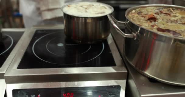 Кулинария Современной Профессиональной Кухне Вкусная Европейская Кухня Концепция Медленного Движения — стоковое видео