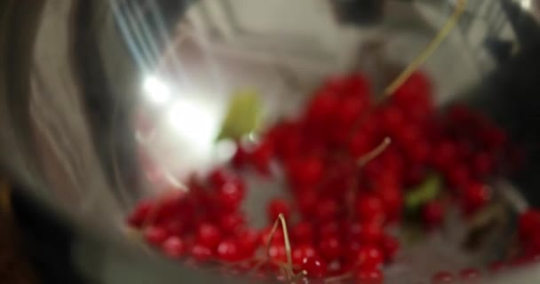 Červené Viburnum Bobule Misce Kuchyňském Stole Restauraci Připraven Zdobit Šéfkuchařova — Stock video