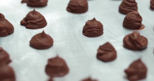 Tálcán Elkészítés Folyamatában Lévő Csokoládécukorkák Láthatók Közelkép — Stock videók