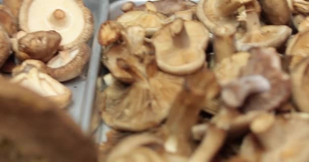 Vari Funghi Della Foresta Vengono Lavati Pronti Essere Affettati Nel — Video Stock