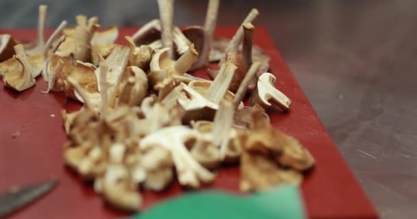 Various Forest Mushrooms Washed Ready Sliced Process Preparing Delicious Mushroom — Stock Video