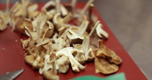 맛있는 요리를 준비하는 과정에서 다양한 버섯을 준비가되어 있습니다 건강하고 채식주의 — 비디오