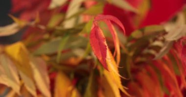 Sonbahar tarzında yakın plan bir masa çekimi. Misafirler için sonbahar temalı büyük bir masa dekorasyonu.