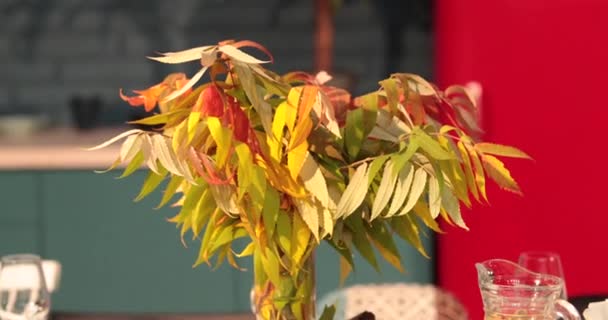 Szczelnie Góry Ujęcie Stolu Wystawionego Autumn Stylu Stół Nakrycie Dekoracja — Wideo stockowe