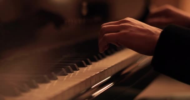 Des Mains Masculines Jouant Piano Piano Professionnel Gros Plan — Video