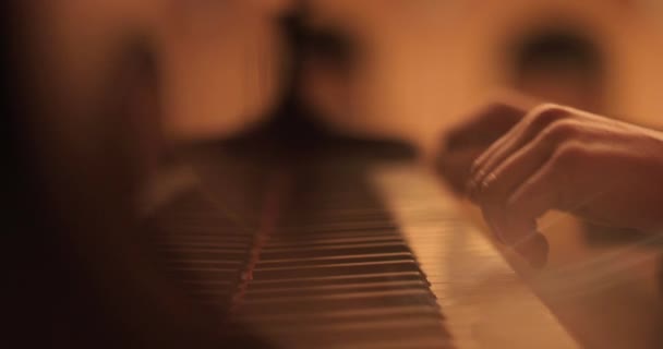 Чоловічі Руки Грають Піаніно Професійне Піаніно Грає Крупним Планом — стокове відео