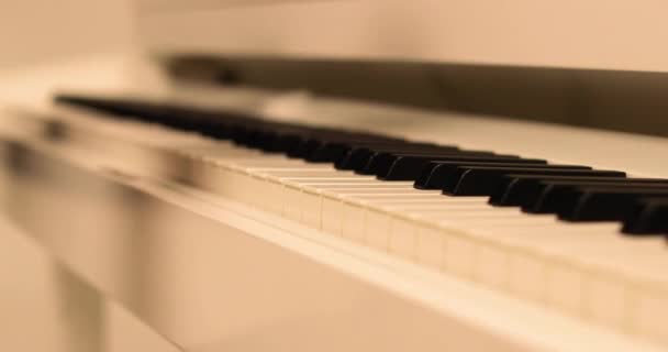 Hraje Piano Ruce Buclatého Klavíristy Ruce Prsty Dotýkají Kláves Zblízka — Stock video