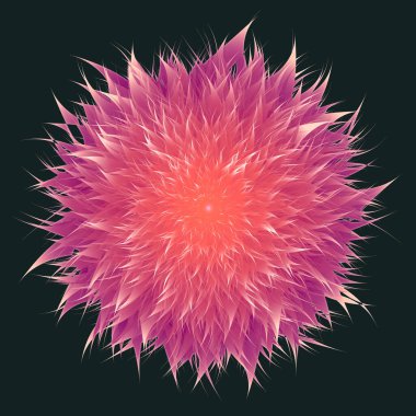 İzole edilmiş kasımpatı çiçeği. İzole edilmiş lonca çiçeği. Harika bir çiçek. Mandala. Floresan çiçekleri. Neon işareti. Işıldayan neon. Vektör Mandala izole edildi. Vektör illüstrasyonu.